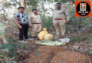  ग्राम अखरभाठा के जंगल में 50 लीटर महुआ शराब तथा भारी मात्रा में महुआ लाहन बरामद