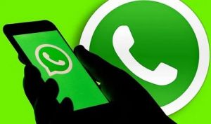  WhatsApp ने अपनी नई प्राइवेसी पॉलिसी पर लगाई रोक, दिल्ली हाईकोर्ट से कहा- कंपनी ने अपनी इच्छा से किया