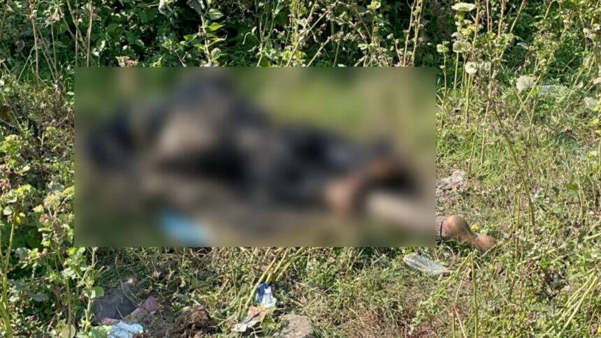 CG News : झाड़ियों में मिली युवक की अधजली लाश, बेरहमी से हत्या कर जलाने की कोशिश CG News : झाड़ियों में मिली युवक की अधजली लाश, बेरहमी से हत्या कर जलाने की कोशिश