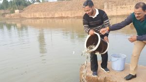  कलेक्टर ने डूमरटोली एनीकट में छोड़े मत्स्य बीज, जिले के नदी नालों में मत्स्य संचयन का शुभारंभ