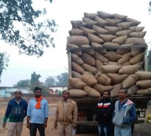 सूरजपुर : संयुक्त निगरानी दल निरंतर कर रही ताबड़तोड़ कार्यवाही : अवैध धान कार्यवाही में लगभग 10811 क्विंटल जप्त