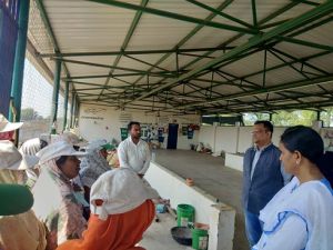  कलेक्टर ने किया एस.एल.आर.एम. सेन्टर का निरीक्षण  