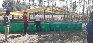 नवनिर्वाचित सरपंच एवं पंच आज करेंगे गौठान का भ्रमण