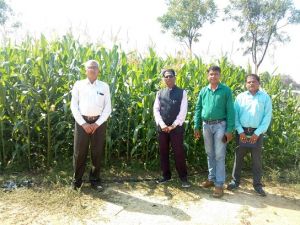  किसानों को दलहन, तिलहन एवं मक्का फसल लगाने के लिए की गई अपील