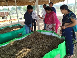 बेमेतरा :  जिला पंचायत सी.ई.ओ. ने आदर्ष गौठान नारायणपुर का किया मुआयना