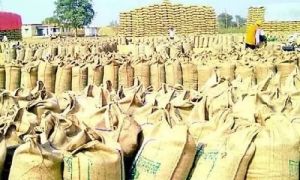  अब तक 89812 मिट्रिक टन धान की हुई खरीदी 