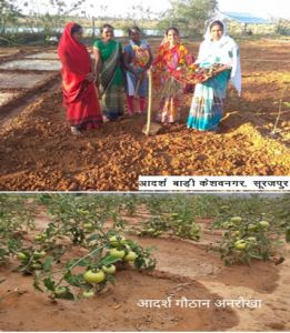  सूरजपुर : आदर्श गौठानों में बाड़ी विकास से आत्मनिर्भरता का आयाम गढ़ रही सूरजपुर की महिलाएं