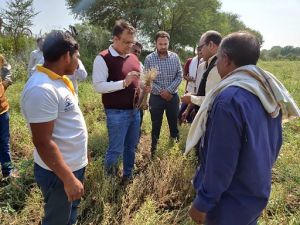  कलेक्टर ने किया ओलावृष्टि प्रभावित गांवों का दौरा