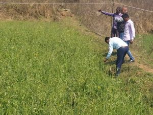 सूरजपुर : 755 किसानों को क्षतिपूर्ति बतौर दिया गया 34 लाख 20 हजार 565 रुपये