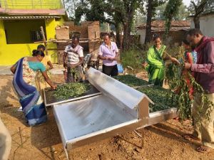 सूरजपुर : मोरिंगा के विभिन्न उत्पाद के सृजन से पार्वतीपुर का बदला आईना