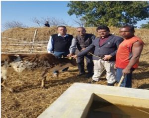 सूरजपुर : खुरपका- मुंहपका रोग पर नियंत्रण के लिए मिषन मोड़ पर टीकाकरण अभियान 15 फरवरी से प्रारंभ