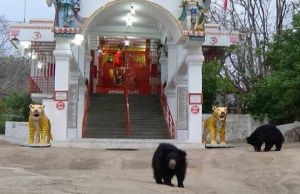  महासमुन्द : चण्डी और खल्लारी माता मंदिर में नही लगेगा मेला न ही कर पाएंगे दर्शन