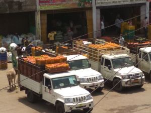 कोरबा में कम हुए सब्जियों के दाम, मंडियों में बढ़ी आवक