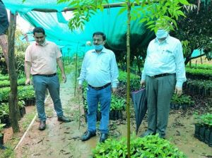 जशपुरनगर : कलेक्टर ने सारूडीह चाय फैक्ट्री का किया निरीक्षण ग्रीन टी बनाने विधि की ली जानकारी