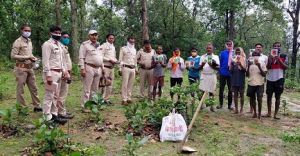 कोरिया : वन विभाग कर रहा लोगों को पौधरोपण के लिए प्रोत्साहित कि हरा भरा रहे कोरिया