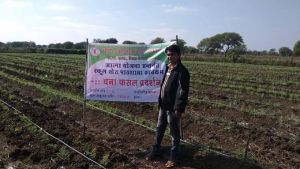 बेमेतरा :  सोनपुरी के किसान उन्नत कृषि अपनाकर कमा रहे मुनाफा