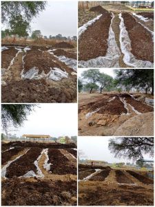  महासमुन्द : गौठान मंे गोबर से खाद निर्माण कर समूह की महिलाएं बन रहीं हैं सशक्त