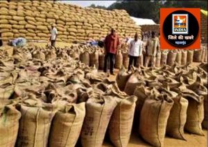 महासमुंद : अब तक ज़िले 5 लाख 64 हजार मेट्रिक टन से ज्यादा धान की खरीदी