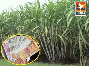 किसानों को मिलेगी प्रति क्विंटल 79.50 रूपए की प्रोत्साहन राशि किसानों को मिलेगी प्रति क्विंटल 79.50 रूपए की प्रोत्साहन राशि