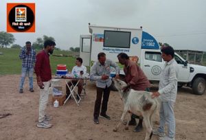  जिले मे मोबाईल पशु चिकित्सा इकाई सेवा का संसदीय सचिव श्री बंजारे ने हरी झंडी दिखाकर किया शुभारंभ
