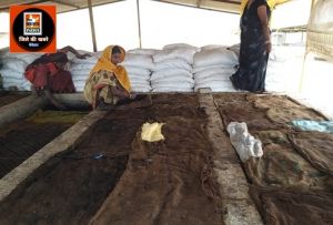  गोधन न्याय योजना से माता मावली मॉ स्व. सहायता समूह की महिलाओं को मिल रहा अतिरिक्त आय