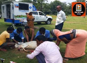  मोबाईल वेटनरी यूनिट से प्रतिदिन पशुपालकों को किया जा रहा है लाभान्वित