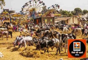  6 और 7 मार्च को पशु मेला का आयोजन