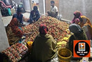  स्ट्राबेरी की खेती से जिले को मिल रही है विशेष पहचान