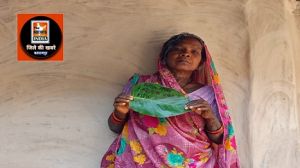  सक्रिय मतदाता टोली द्वारा घर-घर पहुंचा साल पत्र मतदान न्यौता