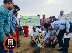  अमृत सरोवर तालाब डुंडा एवं ग्राम भिनपुरी में नीम का पौधा रोपित