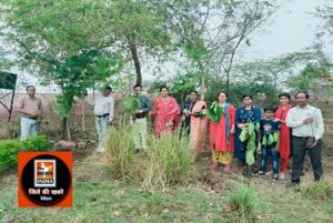  विश्व पर्यावरण दिवस पर कृषि महाविद्यालय और अनुसंधान केंद्र ढोलिया में किया गया वृक्षारोपण