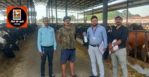  खाद्य पदार्थों की मानक एवं गुणवत्ता जांच हेतु लिया गया नमूना