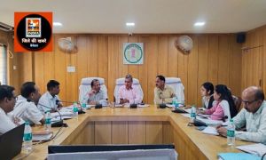 कलेक्टर की अध्यक्षता में समय सीमा की बैठक संपन्न