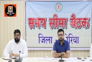 कलेक्टर ने सड़कों से मवेशियों को हटाने के दिए सख्त निर्देश