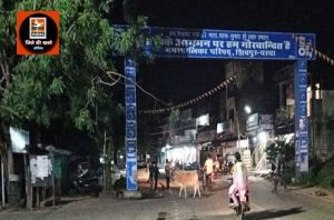 सड़कों से आवारा मवेशियों को हटाने देर रात तक चलाए जा रहे हैं मुहिम