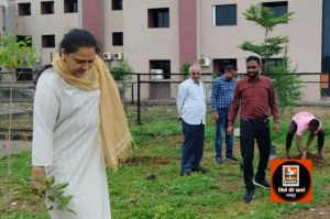 एक पेड़ माँ के नाम अभियान के तहत राज्य सूचना आयोग में किया गया वृक्षारोपण