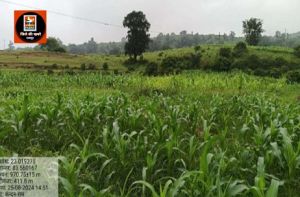 ग्रामीणों को रोजगार के साथ मिली सिंचाई की सुविधा