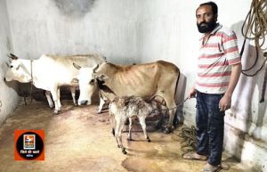 दुग्ध उत्पादन से अतिरिक्त आमदनी का लाभ ले रहे हैं मनरेगा के लाभार्थी श्री दीपक