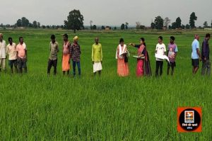 ग्राम पंचायतो में पढ़कर सुनाया जा रहा है बी-वन खसरा