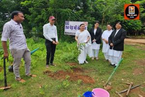 न्यायाधीशगण सहित न्यायालयीन कर्मचारियों द्वारा लगाए गए विभिन्न प्रजातियों के पौधे
