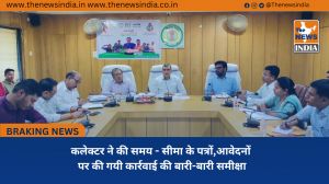 कलेक्टर ने की समय - सीमा के पत्रों,आवेदनों पर की गयी कार्रवाई की बारी-बारी समीक्षा