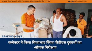 कलेक्टर ने किया बिजाभाट स्थित पीडीएस दुकानों का औचक निरीक्षण