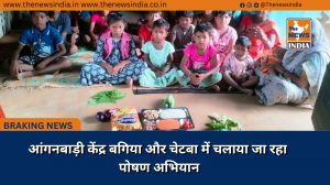 आंगनबाड़ी केंद्र बगिया और चेटबा में चलाया जा रहा पोषण अभियान