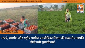 संघर्ष, समर्पण और राष्ट्रीय ग्रामीण आजीविका मिशन की मदद से लखपति दीदी बनी सुमन्ती बाई