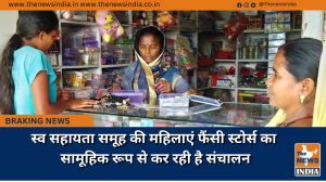 स्व सहायता समूह की महिलाएं फैंसी स्टोर्स का सामूहिक रूप से कर रही है संचालन