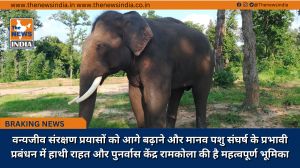 वन्यजीव संरक्षण प्रयासों को आगे बढ़ाने और मानव पशु संघर्ष के प्रभावी प्रबंधन में हाथी राहत और पुनर्वास केंद्र रामकोला की है महत्वपूर्ण भूमिका