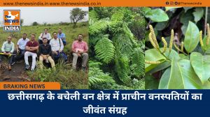छत्तीसगढ़ के बचेली वन क्षेत्र में प्राचीन वनस्पतियों का जीवंत संग्रह