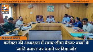कलेक्टर की अध्यक्षता में समय-सीमा बैठक: बच्चों के जाति प्रमाण-पत्र बनाने पर दिया जोर