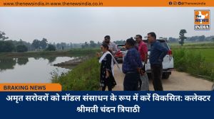 अमृत सरोवरों को मॉडल संसाधन के रूप में करें विकसित: कलेक्टर श्रीमती चंदन त्रिपाठी