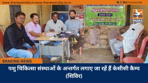 पशु चिकित्सा संस्थाओं के अन्तर्गत लगाए जा रहें हैं केसीसी कैम्प (शिविर)